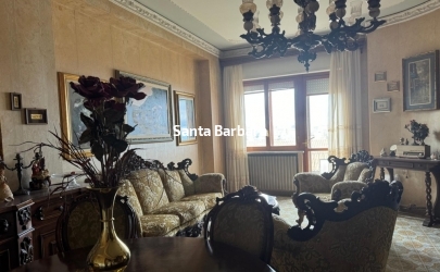IMG-20241210-WA0125