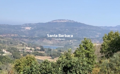 IMG-20250901-WA0001