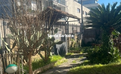 giardino 4