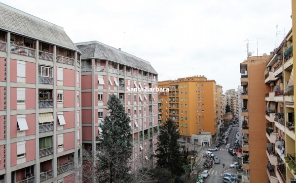 vista 1